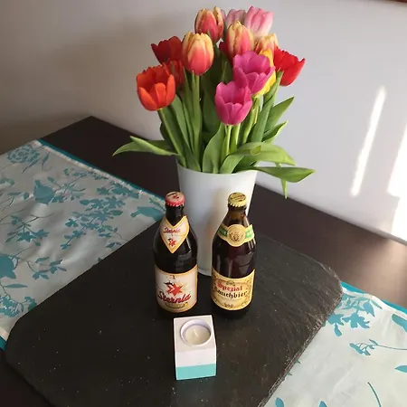 Faba Living Daire Bamberg